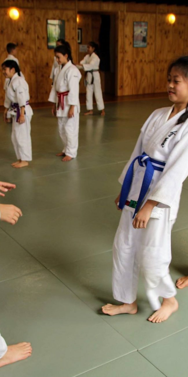 aikido for children