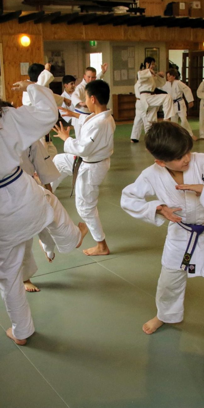 Aikido for kids Melbourne